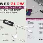 PowerGlow All in 1 Charging cable with light up logo | Supports Data Function in Type C port | USB A and C input